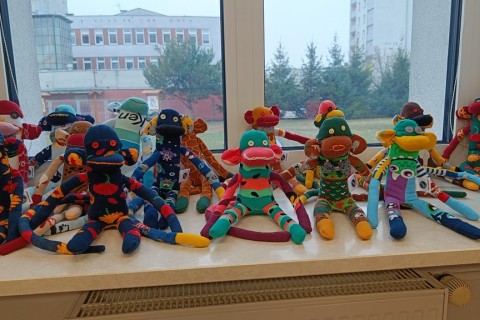 Charytatywna akcja szycia małpek