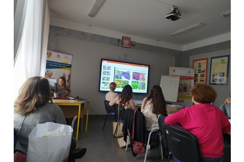 Aranżujemy Ogród