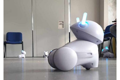 Trening pamięci - warsztaty z robotem Photon dla dzieci 7-9 lat