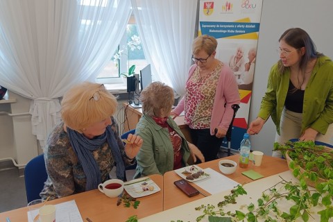 Warsztaty zielarskie dla seniorów - Młode listki