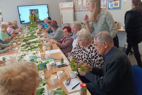 Warsztaty zielarskie dla seniorów - Młode listki