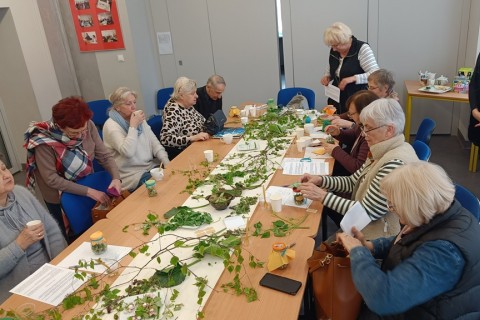 Warsztaty zielarskie dla seniorów - Młode listki