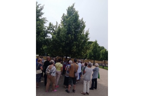 Spacer historyczny dla seniorów