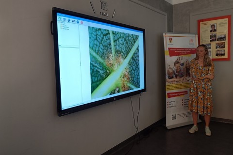 Zioła smaczne, zdrowe i niezwykłe- Kwieciste smaki i kolory