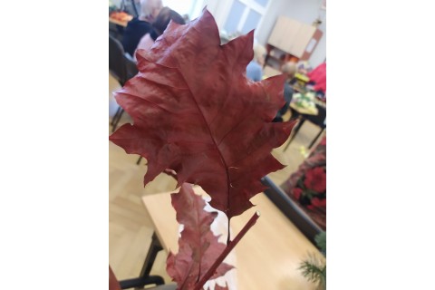 Warsztaty florystyczne dla seniorów - kompozycje na groby