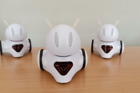 Trening pamięci - warsztaty z robotem Photon dla dzieci 7-9 lat